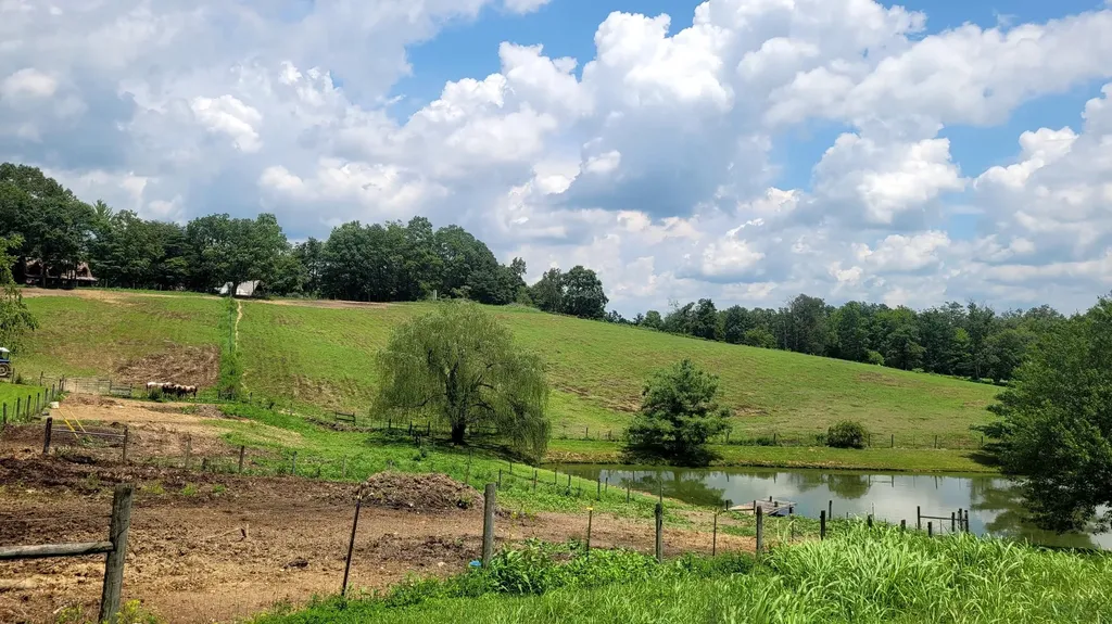 6758 Highway 1693 Wellington KY 40387