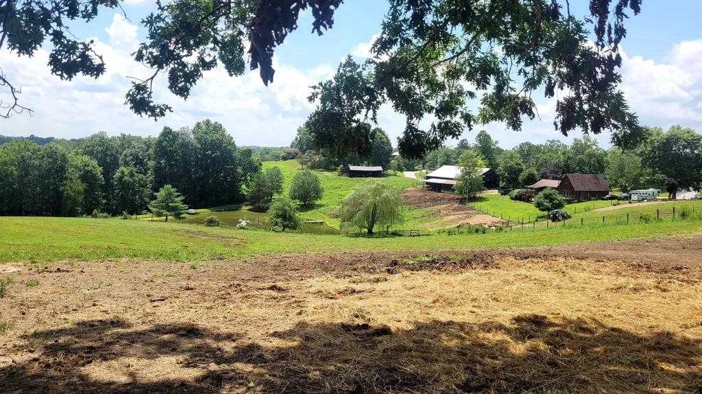 6758 Highway 1693 Wellington KY 40387