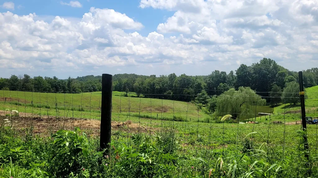 6758 Highway 1693 Wellington KY 40387