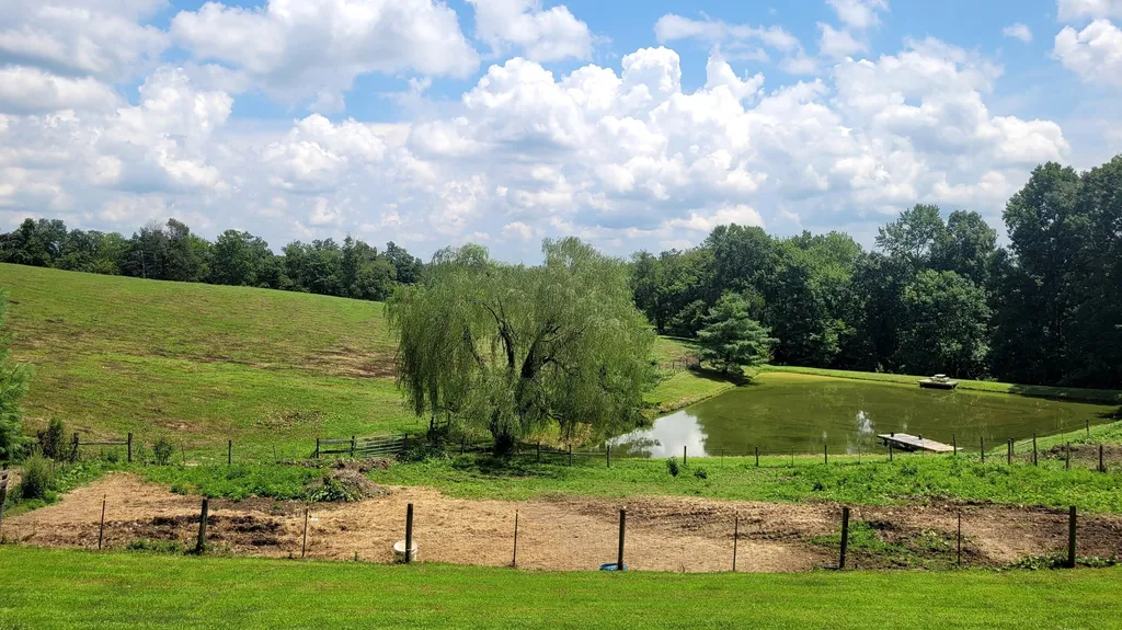 6758 Highway 1693 Wellington KY 40387