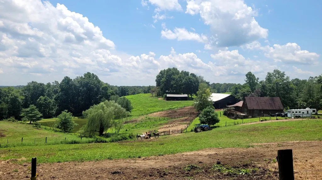 6758 Highway 1693 Wellington KY 40387