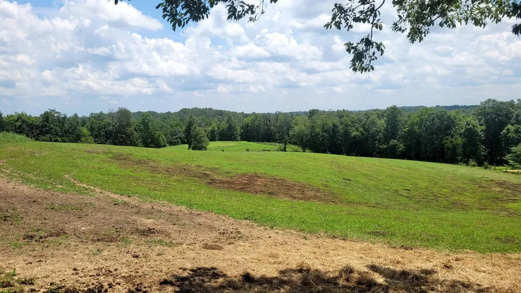 6758 Highway 1693 Wellington KY 40387