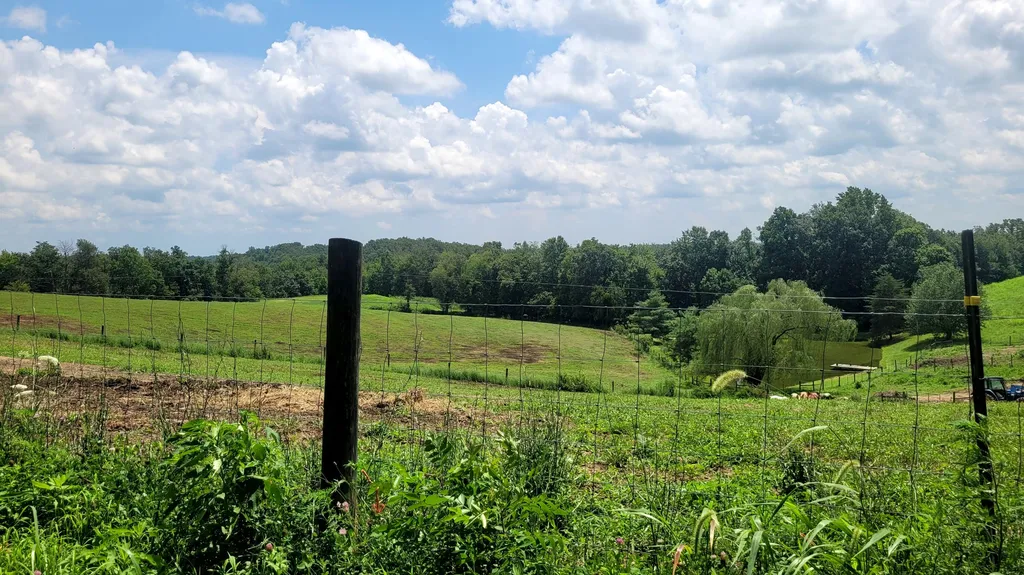 6758 Highway 1693 Wellington KY 40387
