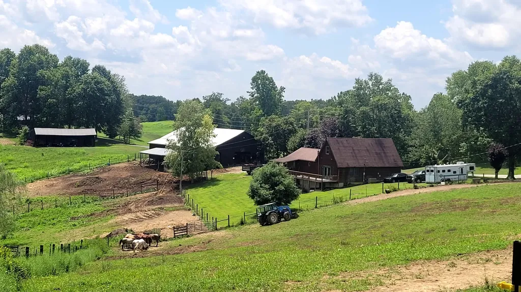 6758 Highway 1693 Wellington KY 40387