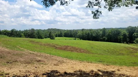6758 Highway 1693 Wellington KY 40387