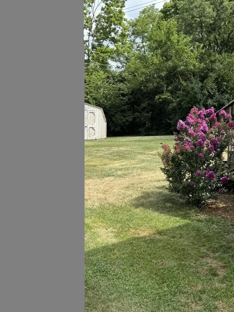 233 Savannah Drive Nicholasville KY 40356