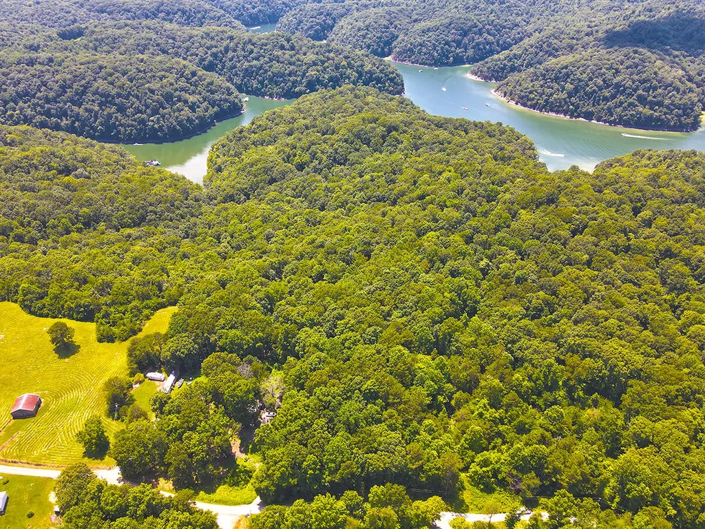 1119 Harmon Creek Road Monticello KY 42633
