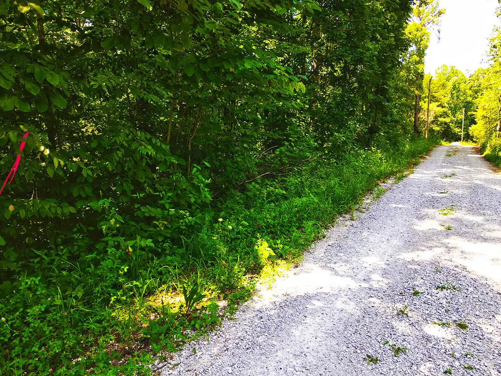 1119 Harmon Creek Road Monticello KY 42633