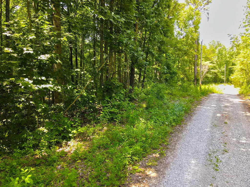 1119 Harmon Creek Road Monticello KY 42633