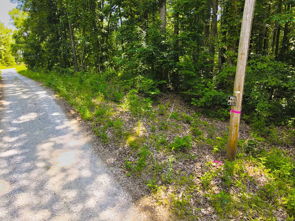 1119 Harmon Creek Road Monticello KY 42633