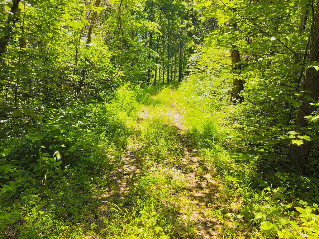 1119 Harmon Creek Road Monticello KY 42633