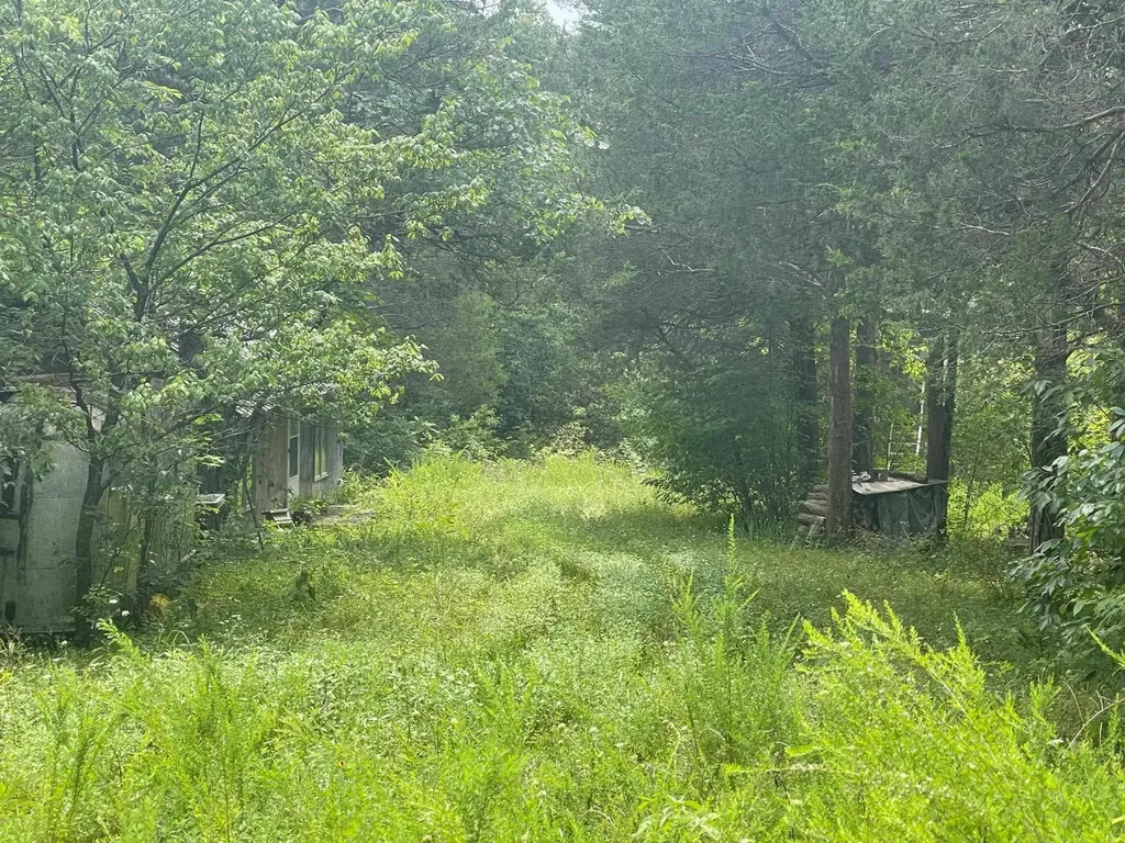2607 Royalty Ridge Road Willisburg KY 40078