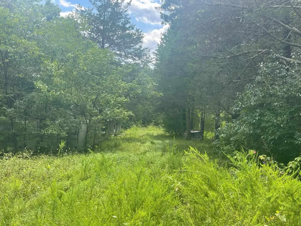 2607 Royalty Ridge Road Willisburg KY 40078