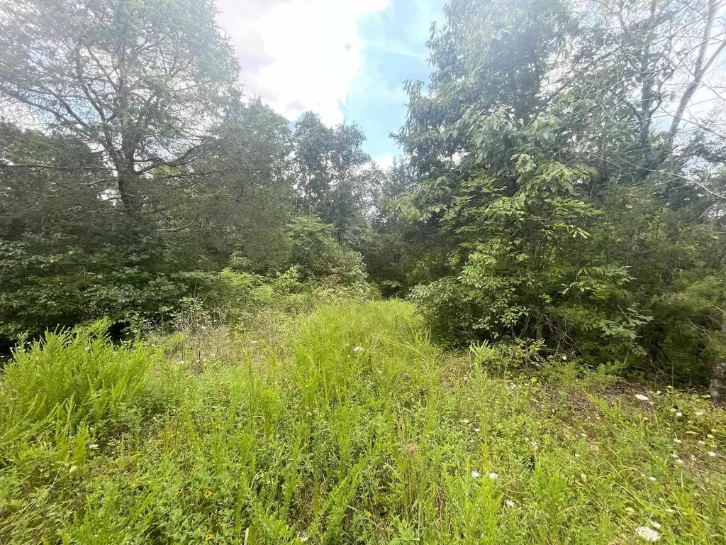 2607 Royalty Ridge Road Willisburg KY 40078