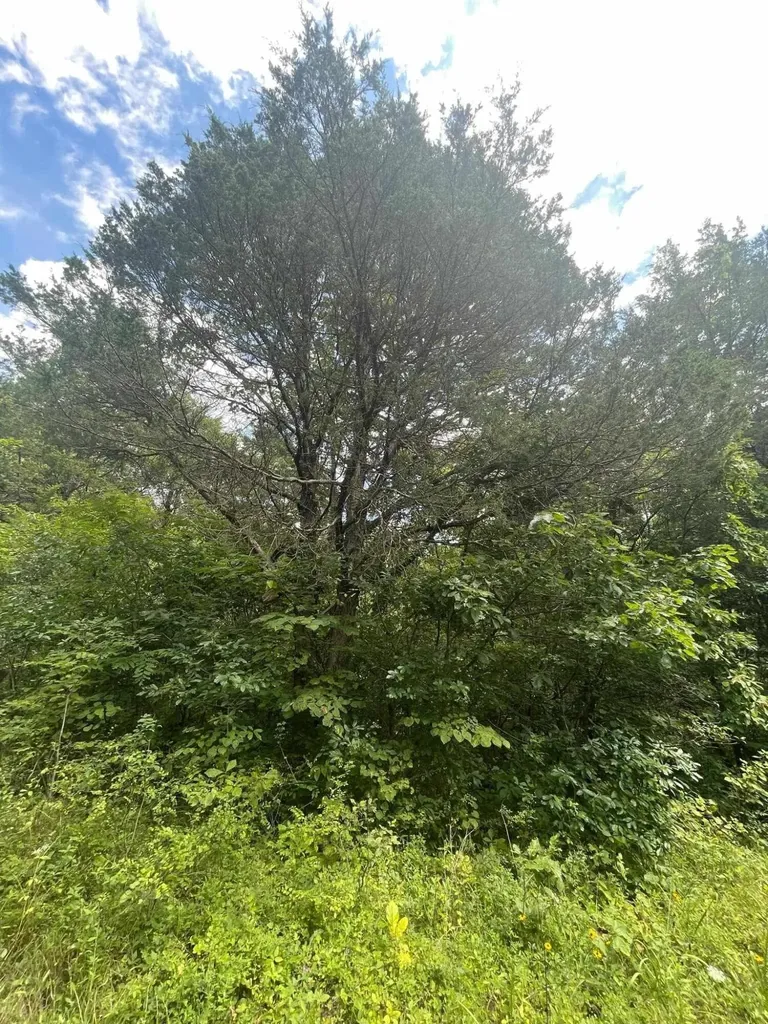 2607 Royalty Ridge Road Willisburg KY 40078