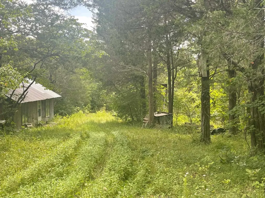 2607 Royalty Ridge Road Willisburg KY 40078