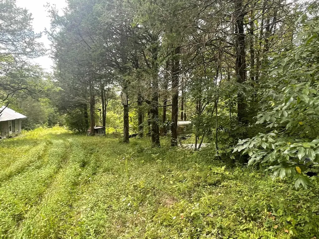 2607 Royalty Ridge Road Willisburg KY 40078