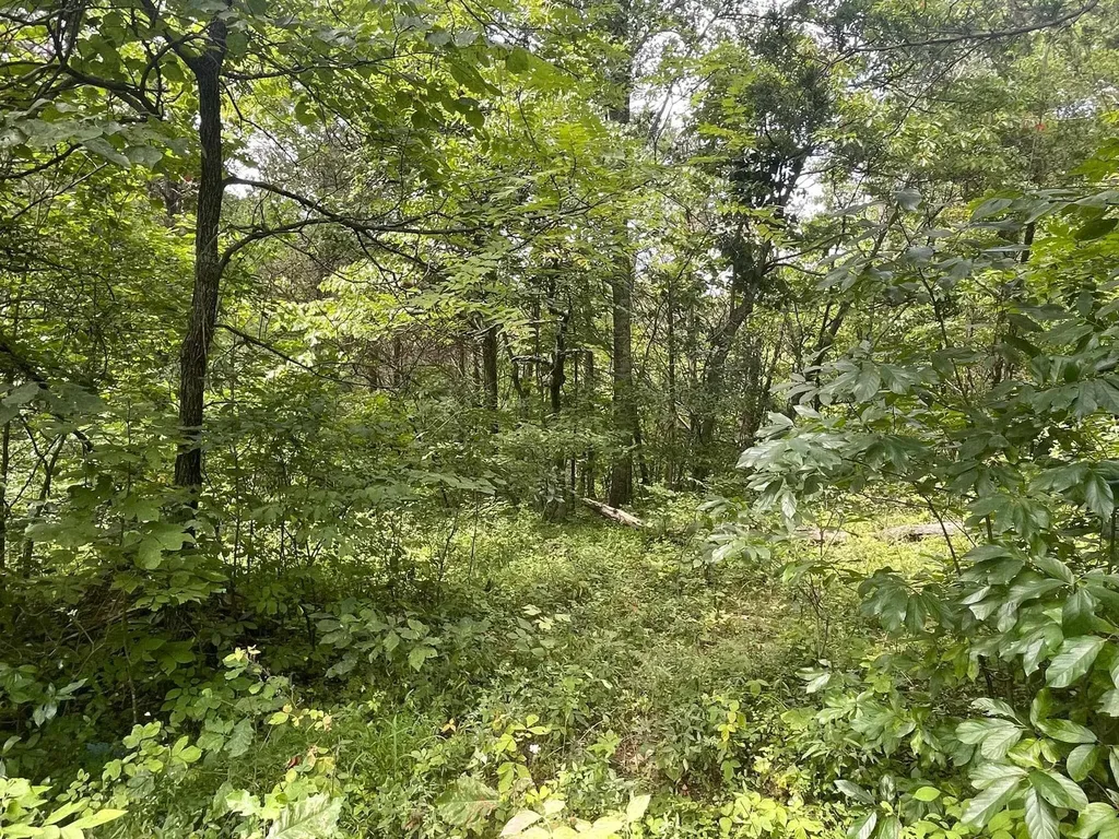 2607 Royalty Ridge Road Willisburg KY 40078