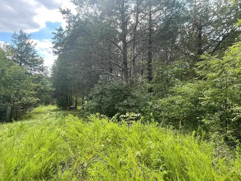 2607 Royalty Ridge Road Willisburg KY 40078