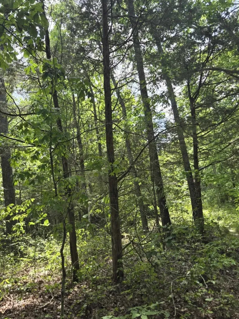 2607 Royalty Ridge Road Willisburg KY 40078
