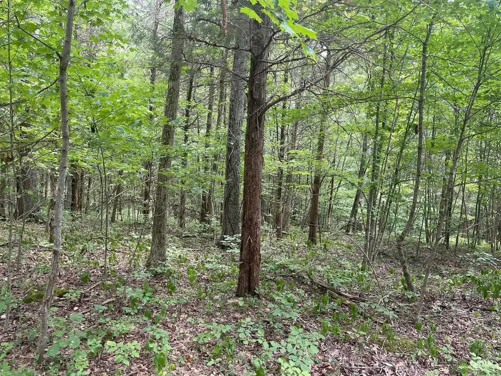 2607 Royalty Ridge Road Willisburg KY 40078