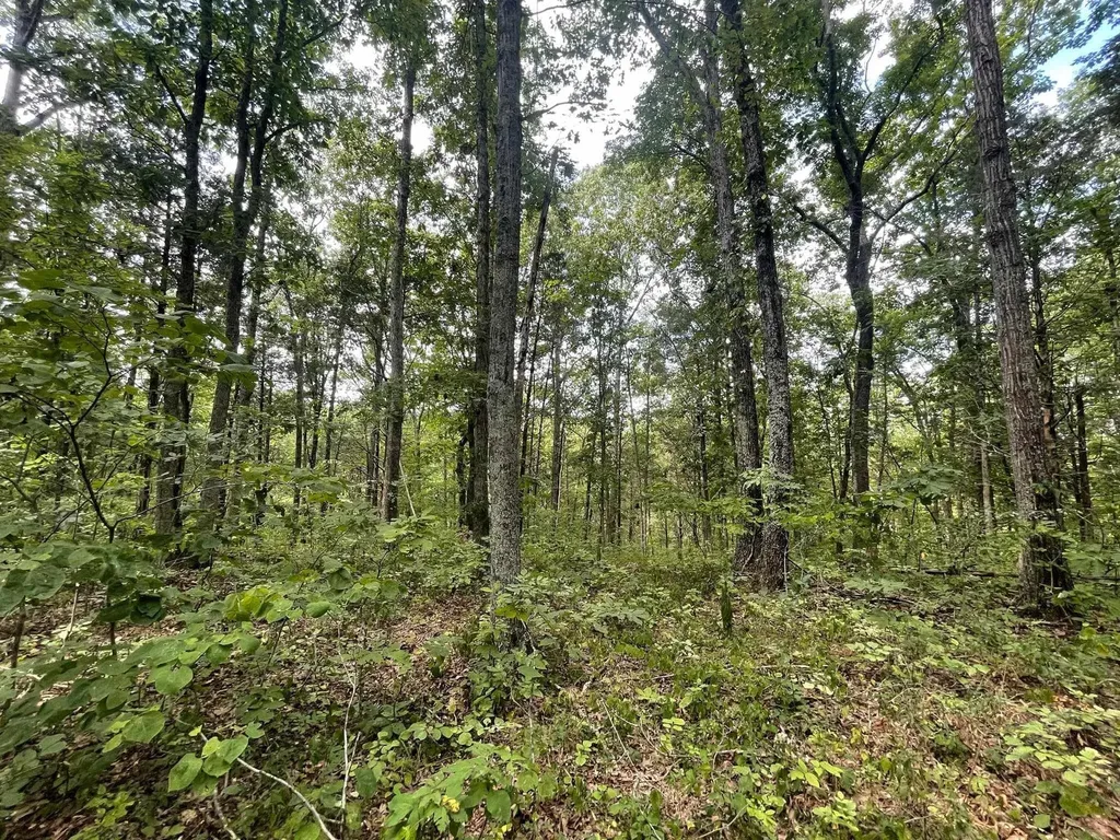 2607 Royalty Ridge Road Willisburg KY 40078