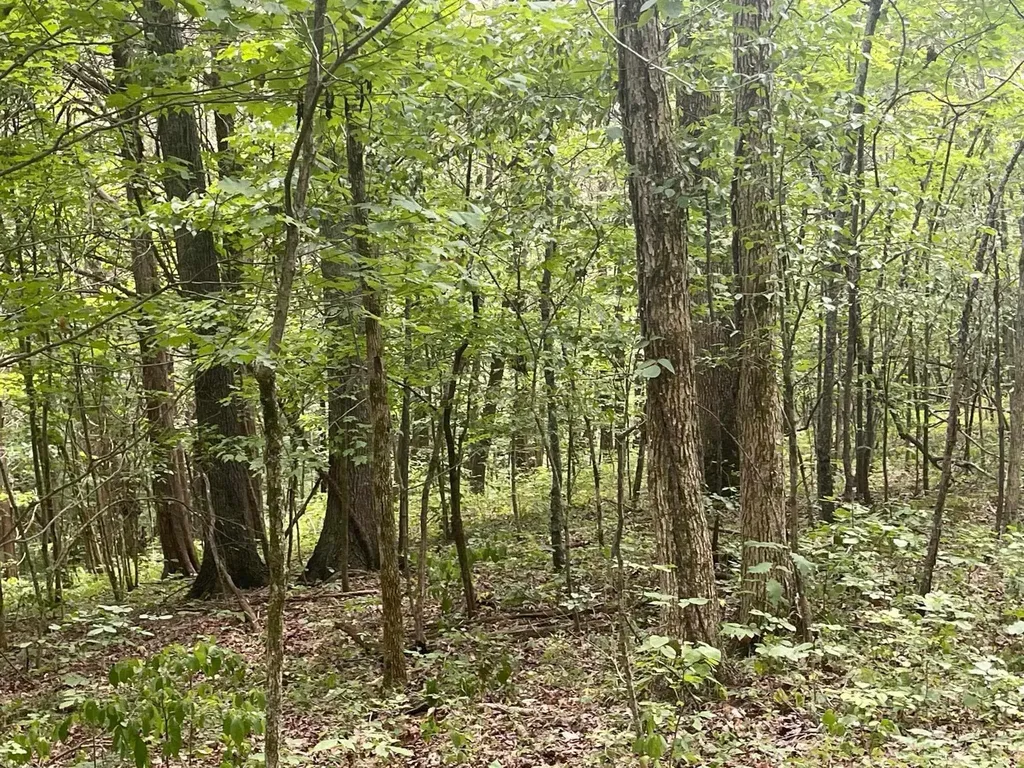 2607 Royalty Ridge Road Willisburg KY 40078
