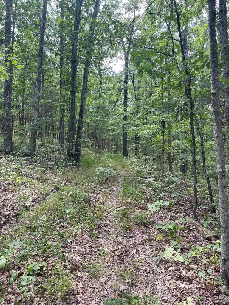 2607 Royalty Ridge Road Willisburg KY 40078