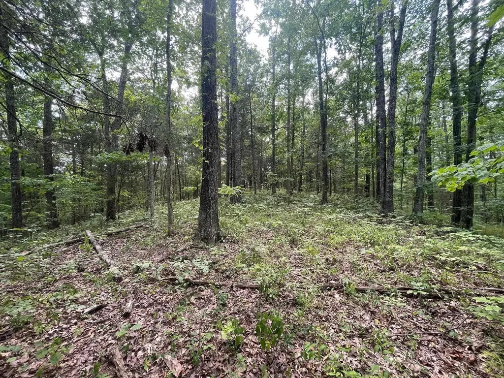 2607 Royalty Ridge Road Willisburg KY 40078
