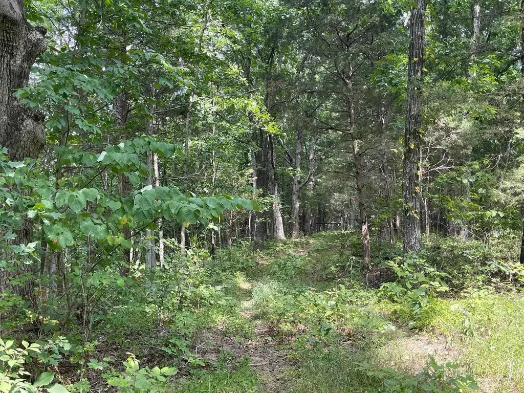 2607 Royalty Ridge Road Willisburg KY 40078