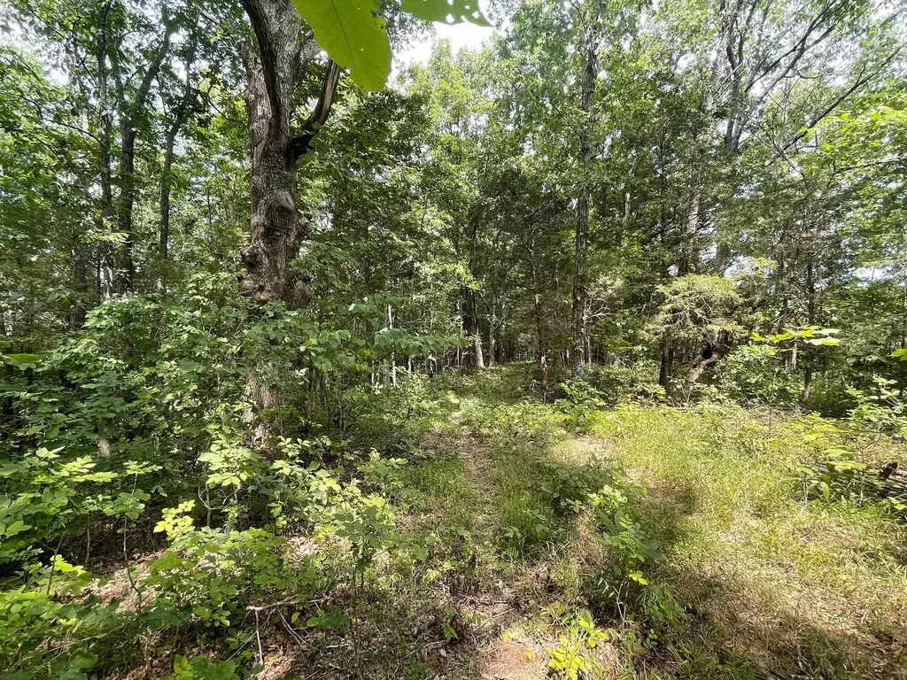 2607 Royalty Ridge Road Willisburg KY 40078