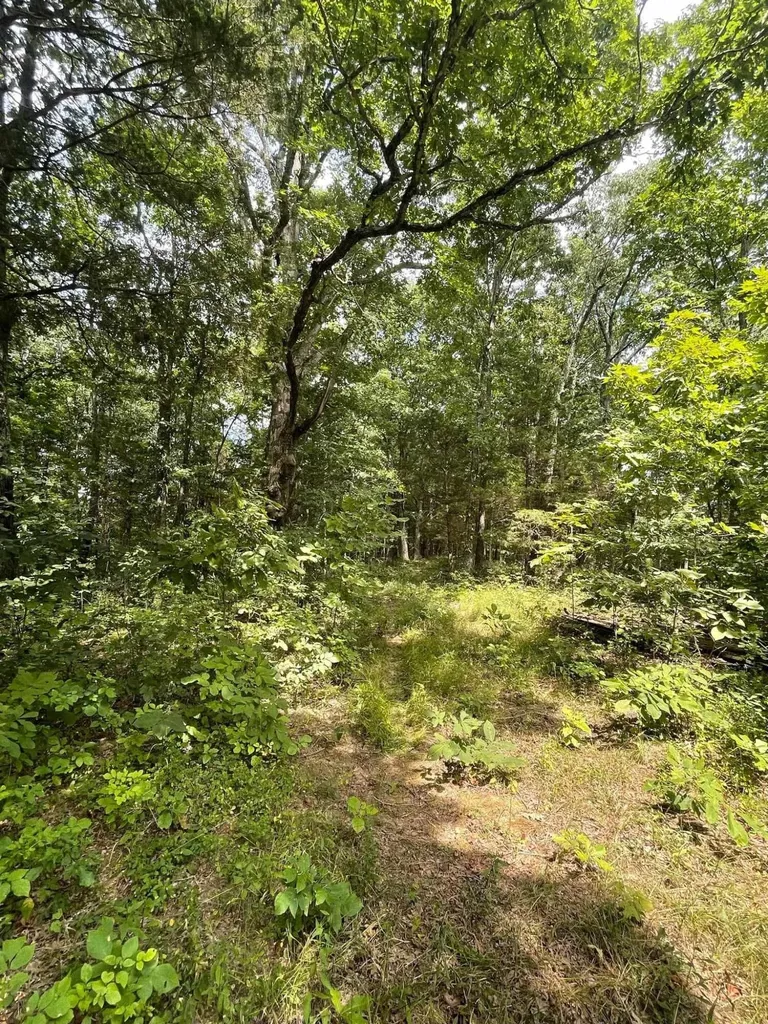 2607 Royalty Ridge Road Willisburg KY 40078
