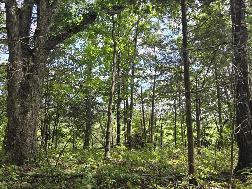 2607 Royalty Ridge Road Willisburg KY 40078