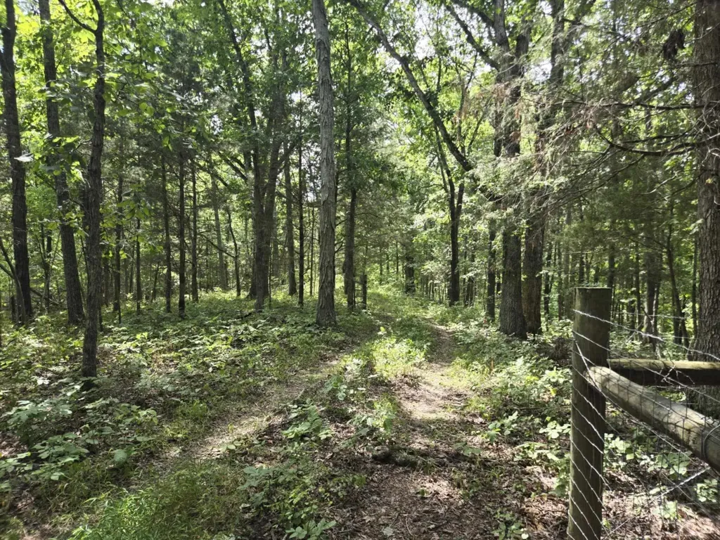 2607 Royalty Ridge Road Willisburg KY 40078