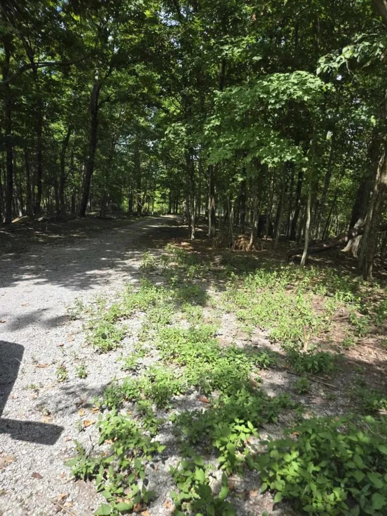 2607 Royalty Ridge Road Willisburg KY 40078