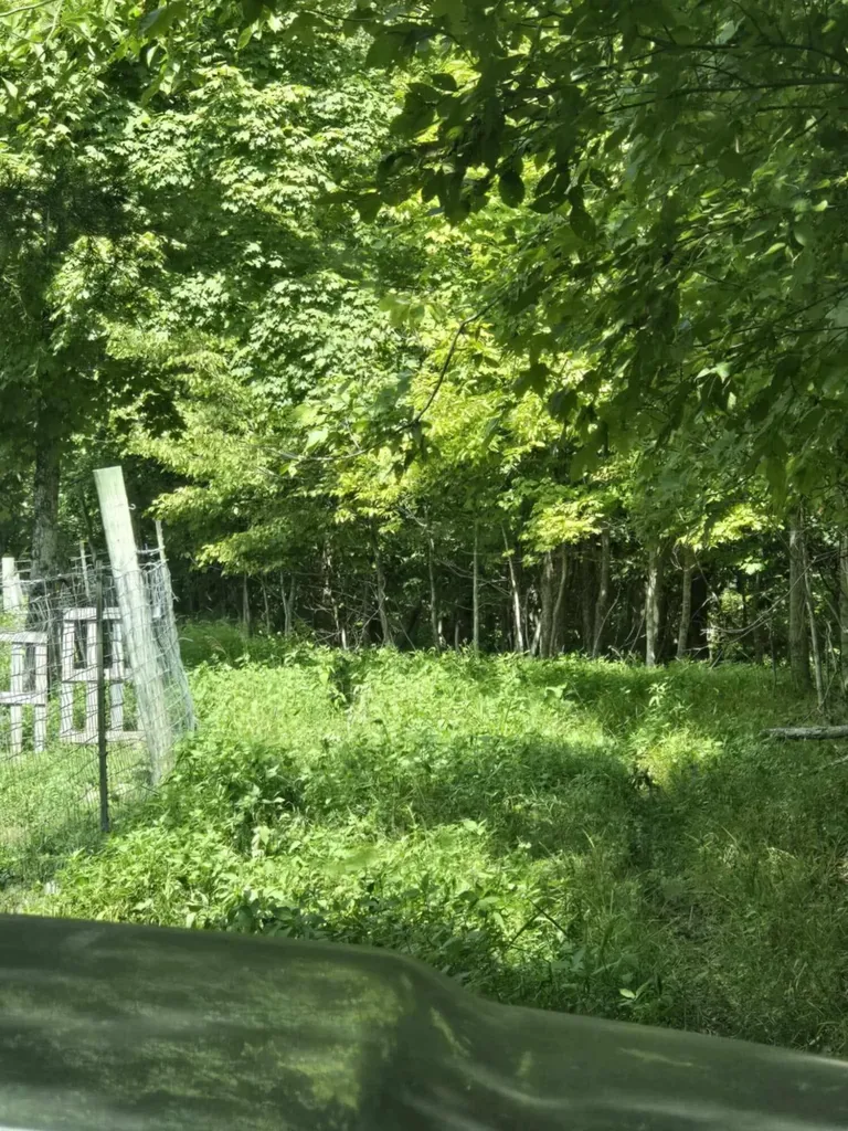 2607 Royalty Ridge Road Willisburg KY 40078