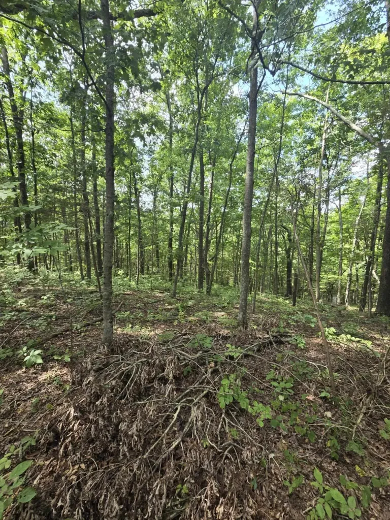2607 Royalty Ridge Road Willisburg KY 40078