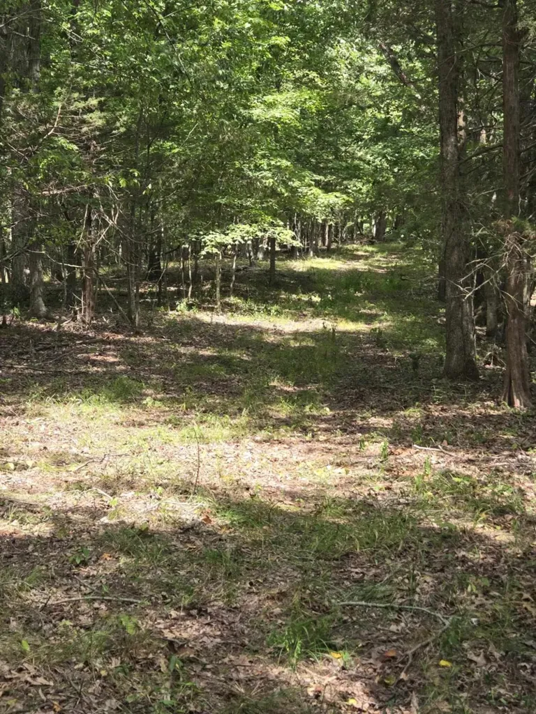 2607 Royalty Ridge Road Willisburg KY 40078