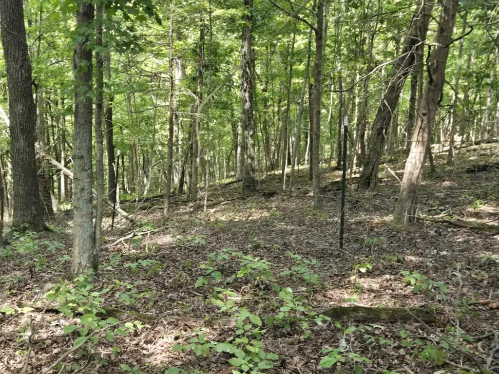 2607 Royalty Ridge Road Willisburg KY 40078