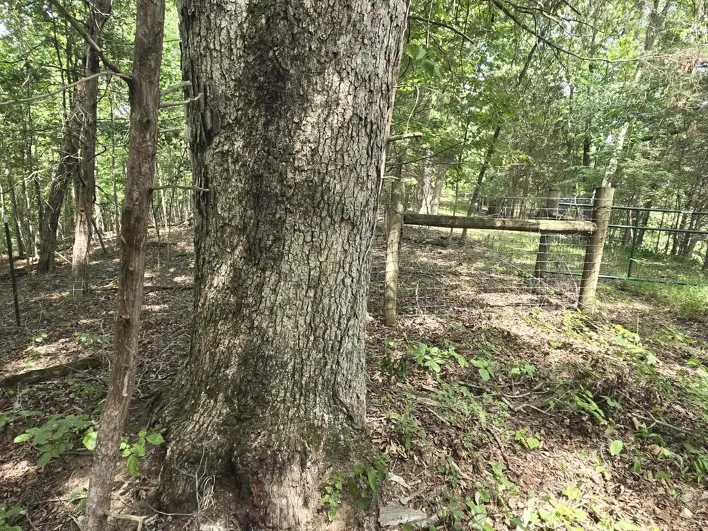 2607 Royalty Ridge Road Willisburg KY 40078