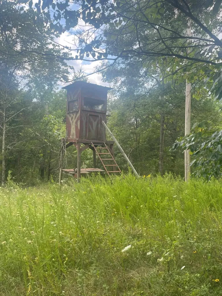 2607 Royalty Ridge Road Willisburg KY 40078