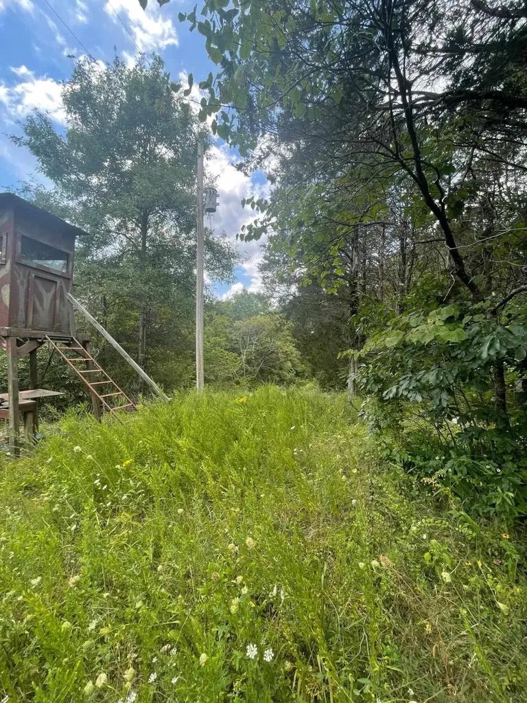 2607 Royalty Ridge Road Willisburg KY 40078