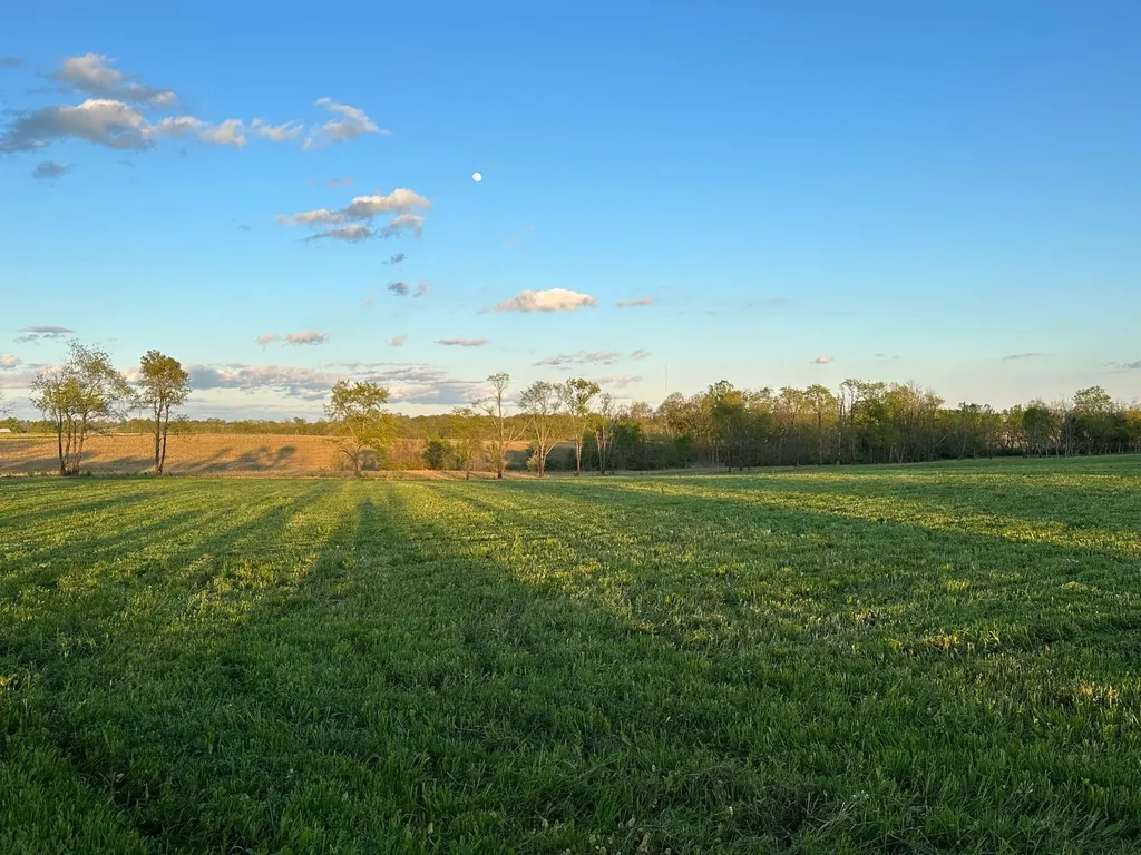 2003 Walnut Grove Road Carlisle KY 40311