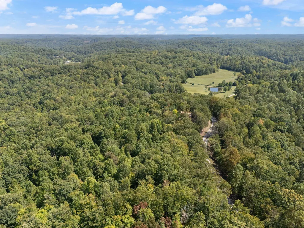 960 High Rock Stanton KY 40380