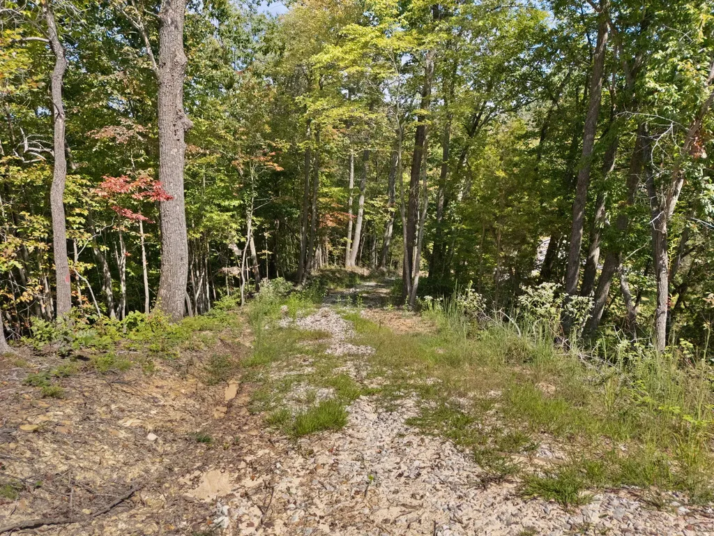960 High Rock Stanton KY 40380