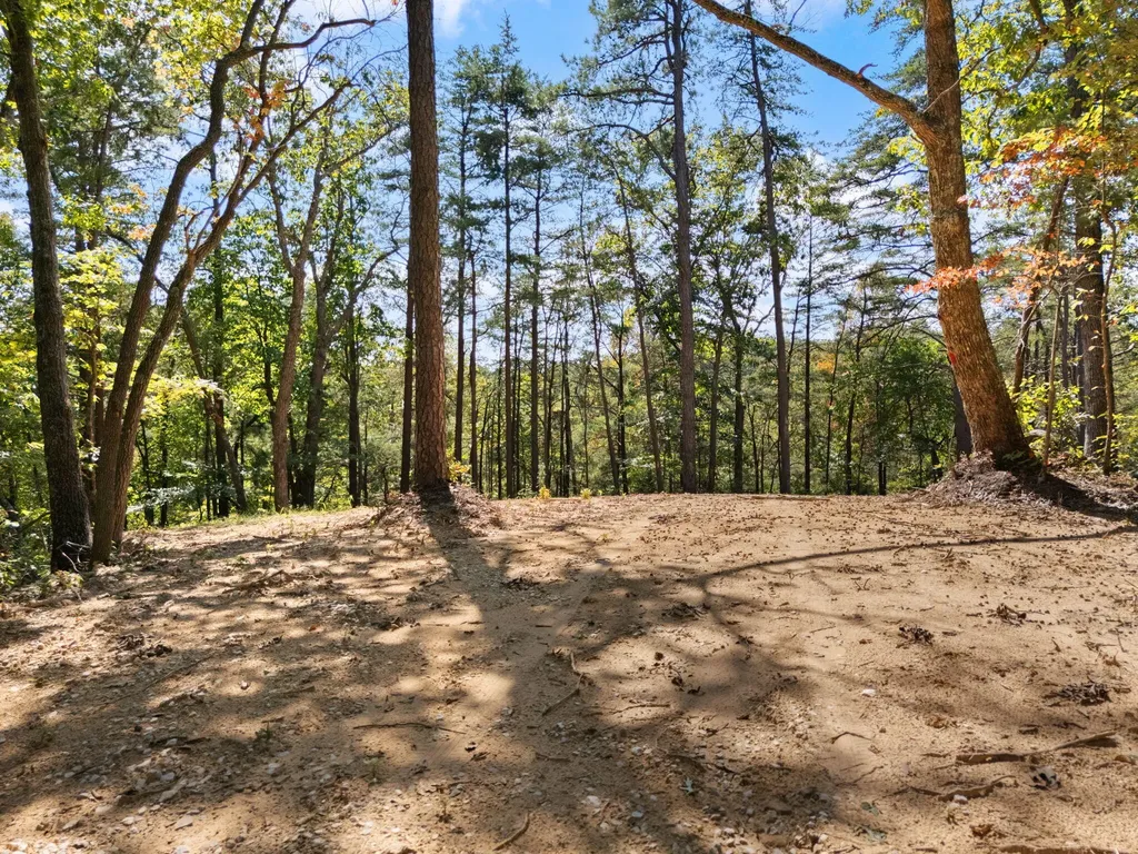 960 High Rock Stanton KY 40380
