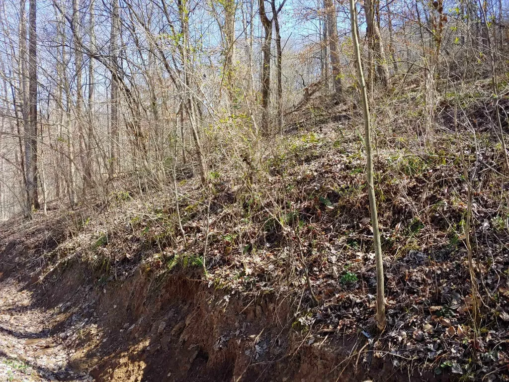 0 Birch Hollow Road Stanton KY 40380