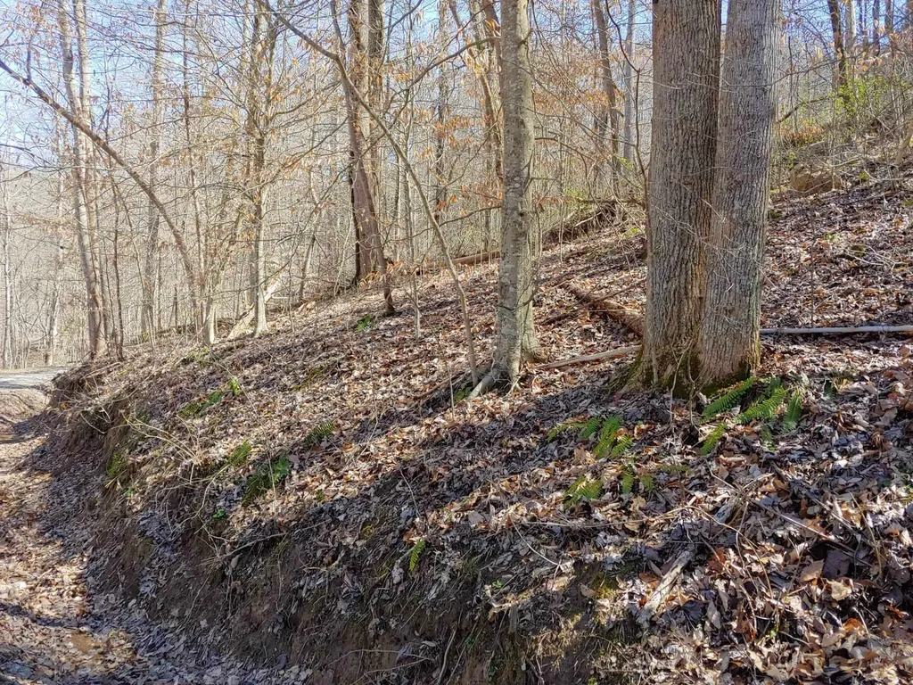 0 Birch Hollow Road Stanton KY 40380