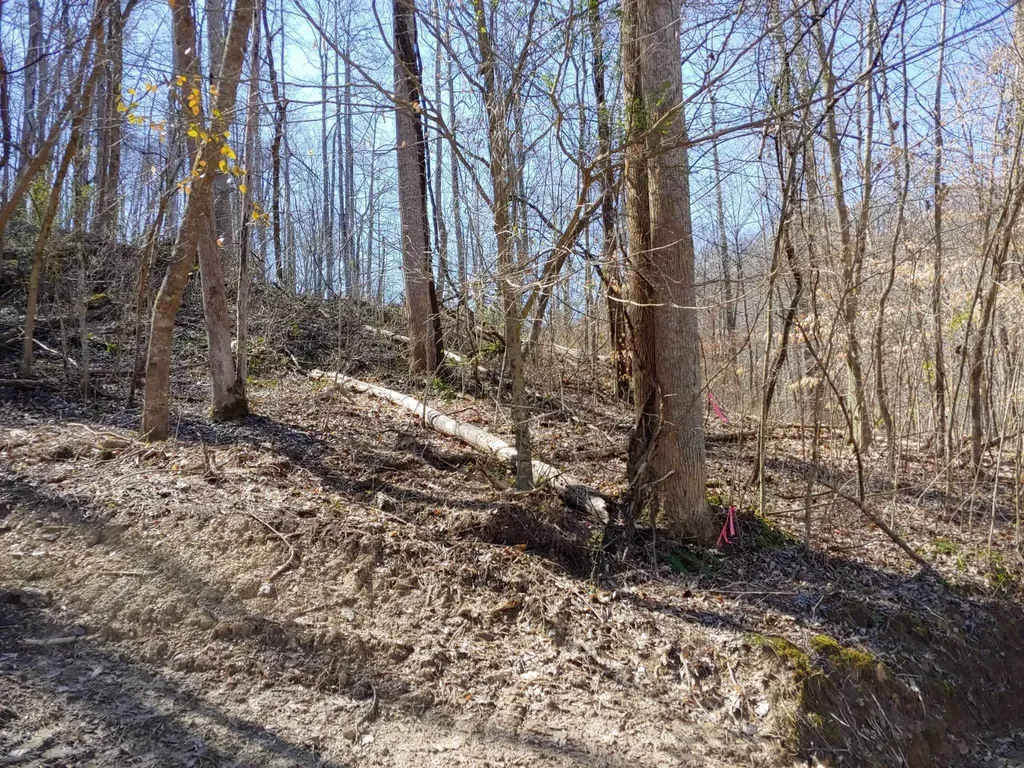 0 Birch Hollow Road Stanton KY 40380