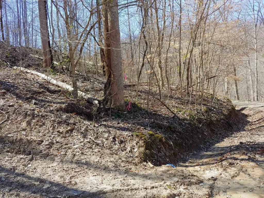 0 Birch Hollow Road Stanton KY 40380
